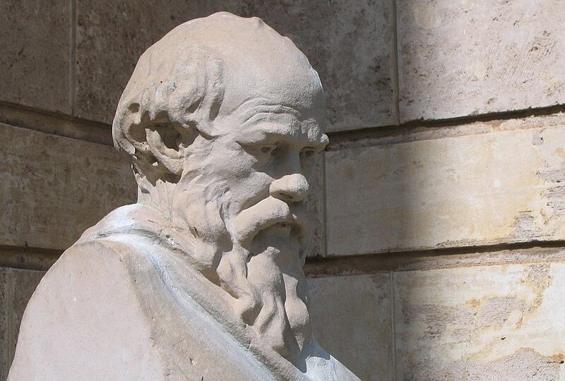800px-UWASocrates_gobeirne_cropped